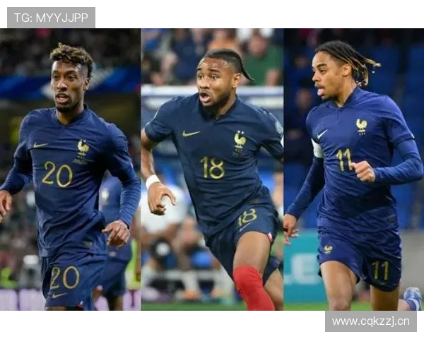 巴尔科拉的潜力与未来发展评估